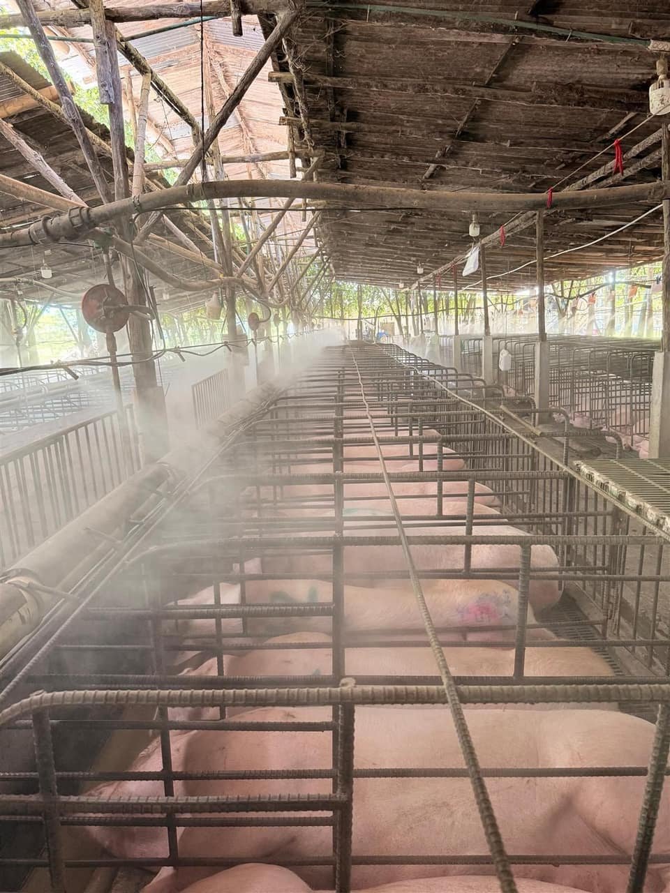 Proyecto SmartbeePro