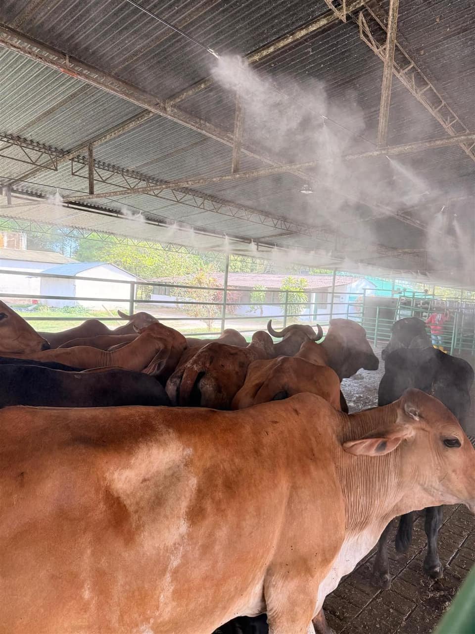 Proyecto SmartbeePro